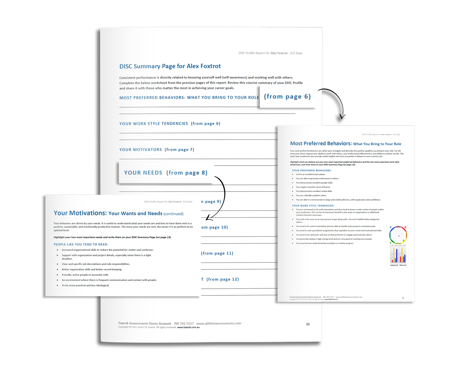 disc-report-Summary-Page-Mock-Up