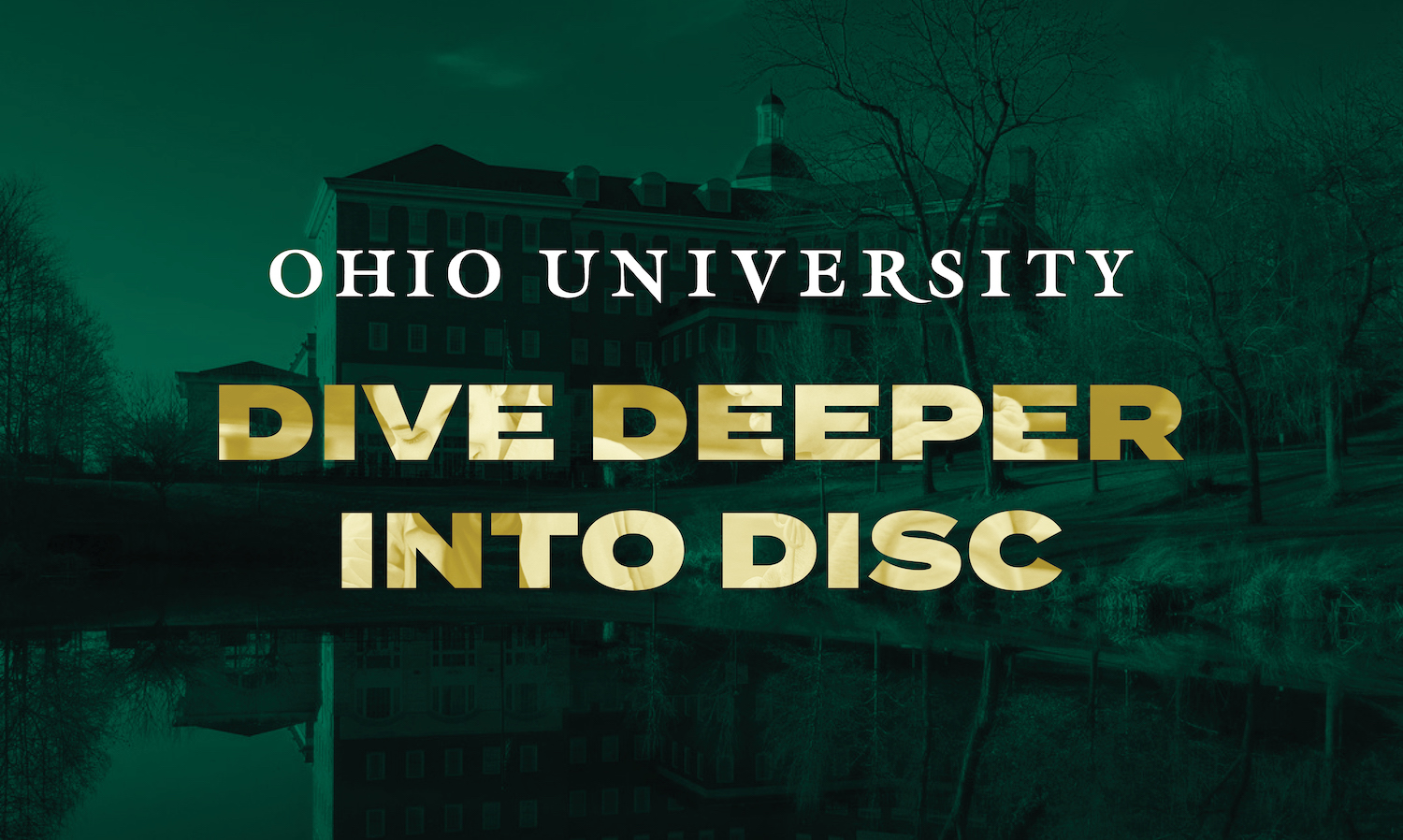 Front Cover_Dive Deeper into DISC